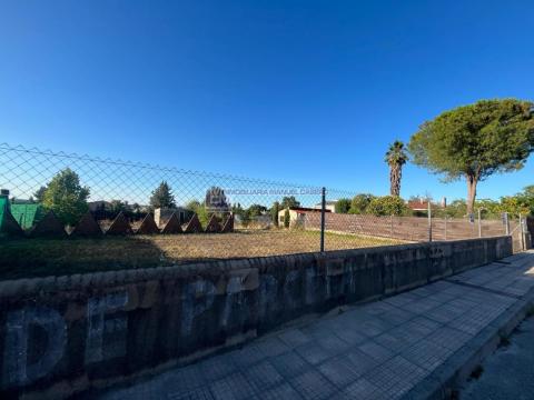 Imagen 1 de Malpartida de Cáceres