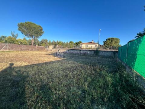 Imagen 4 de Malpartida de Cáceres