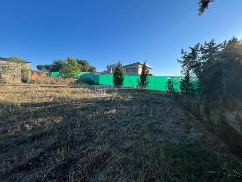 Imagen 9 de Malpartida de Cáceres