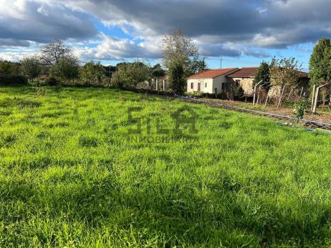 Imagen 7 de Solbeira
