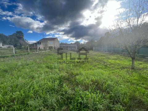 Imagen 18 de San Lourenzo de Siabal