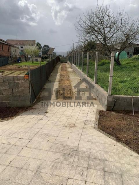 Imagen 12 de Macendo
