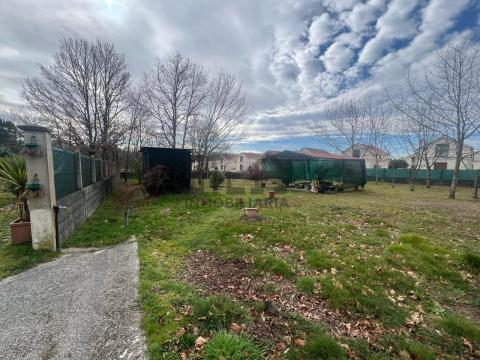 Imagen 11 de O Pereiro de Aguiar