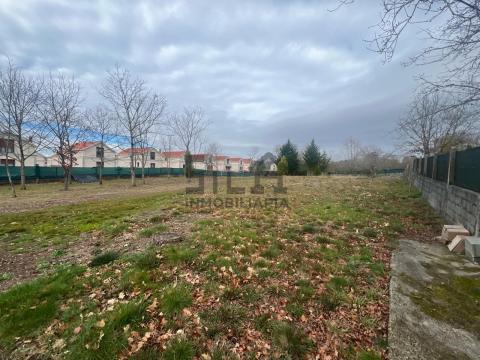 Imagen 13 de O Pereiro de Aguiar