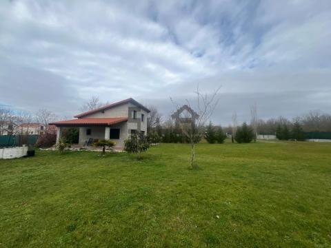 Imagen 14 de O Pereiro de Aguiar