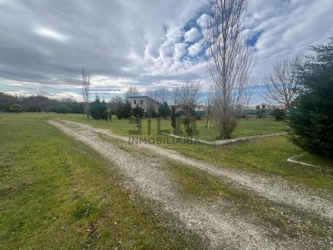 Imagen 20 de O Pereiro de Aguiar