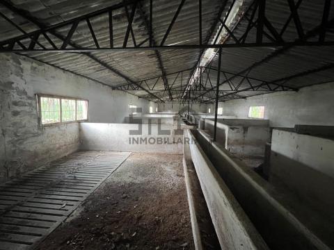 Imagen 4 de San Lourenzo de Siabal