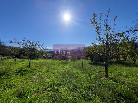 C005411 Venta de casa con piscina y terraza en Entenza (Salceda de Caselas)