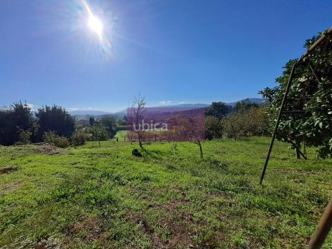 C005411 Venta de casa con piscina y terraza en Entenza (Salceda de Caselas)