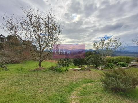 Imagen 58 de Guillarei