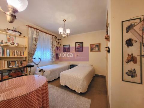Imagen 39 de Camelias-Pi y Margall